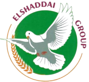 WhatsApp_Image_2025-03-28_at_9.40.35_AM-removebg-preview