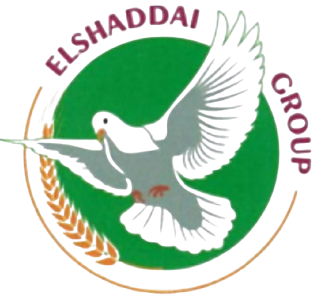 WhatsApp_Image_2025-03-28_at_9.40.35_AM-removebg-preview